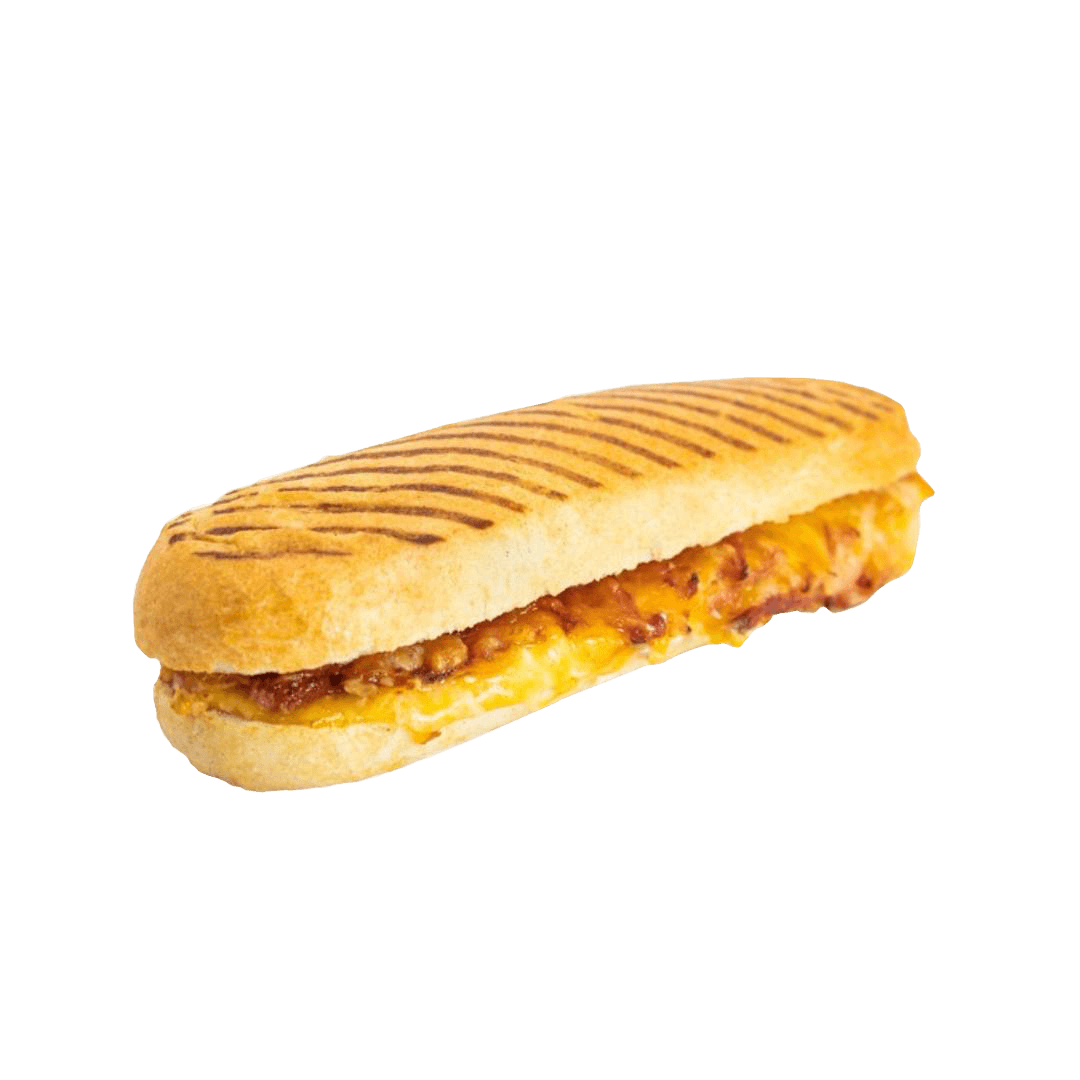 PANINI ikon2.png