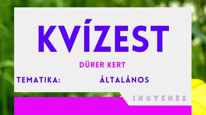 általános_kvízest_03_24