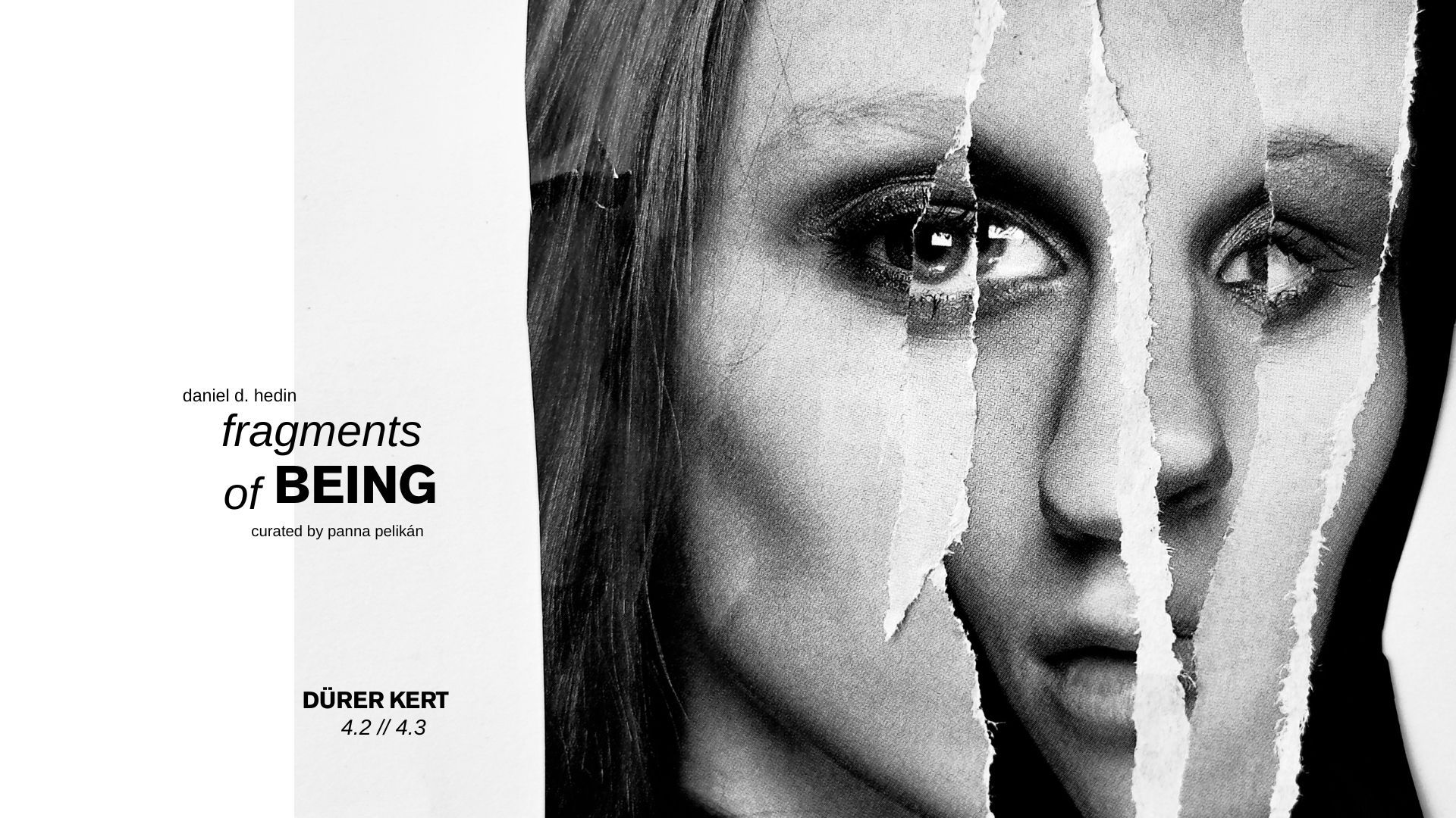 faces_durer_event_cover.jpeg